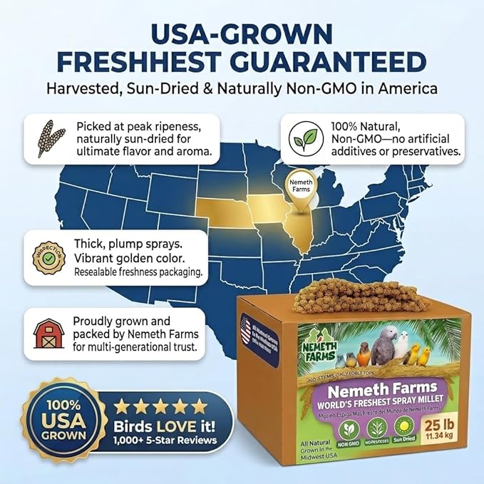 Nemeth Farms Spray Millet - Edible Tops Only, Non-GMO and Sun-Dried - 25 lbs Bulk for Parakeets, Cockatiels and Parrots