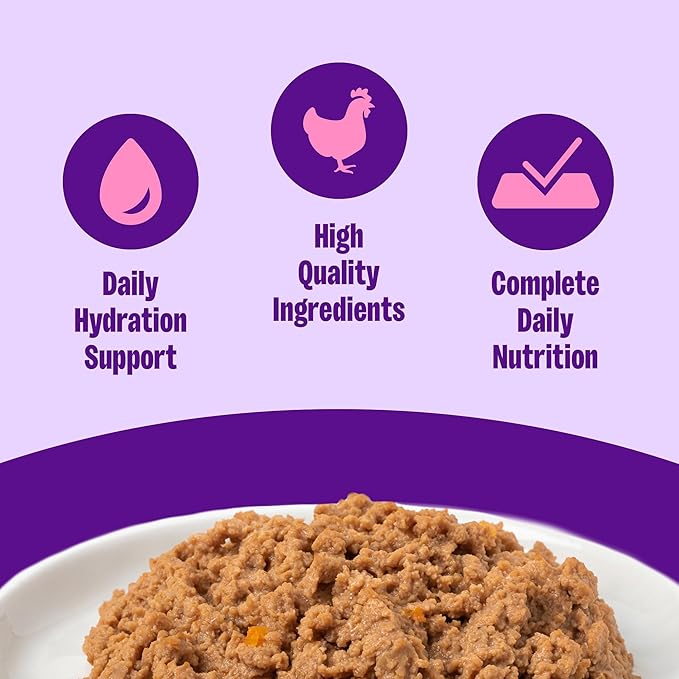 Wellness Complete Health Pate Kitten Canned Wet Cat Food, Natural, Protein Rich, Grain Free, Chicken Entrée Recipe, 3 oz, Pack of 24 Cans