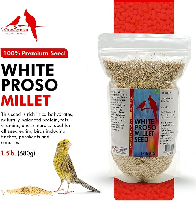 Morning Bird White Proso Millet 1.5 lbs – Unhulled Natural Bird Seed – Supports Feather Growth & Balanced Nutrition – High Energy Delicious Seed - Ideal for Finches, Parakeets & Pet Birds