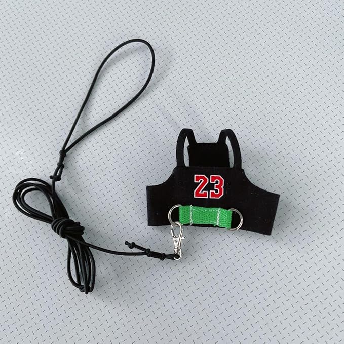 Bird Flight Harness Vest, Parrot Flight Suit with Leash, Bird Flying Clothes with Rope and Handle for Outdoor Activities (Without Leash,Cockatiel) (4XL, Without Rope)