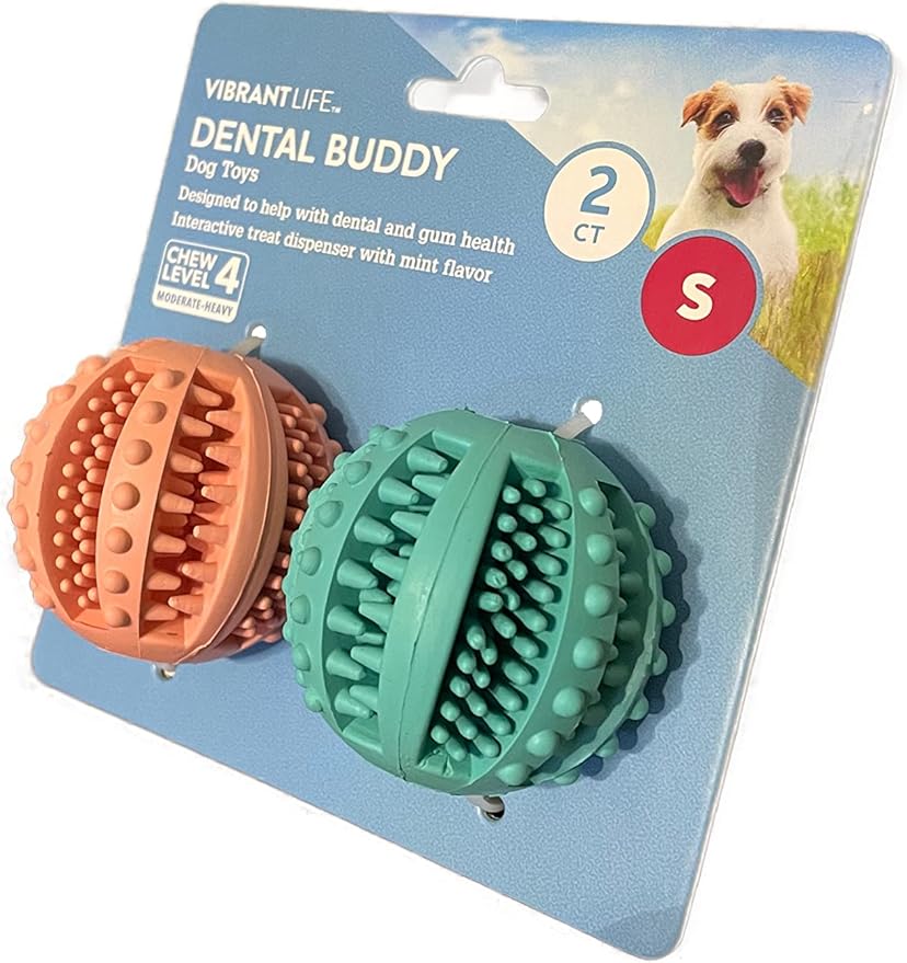 Vibrant Life Dental Buddy