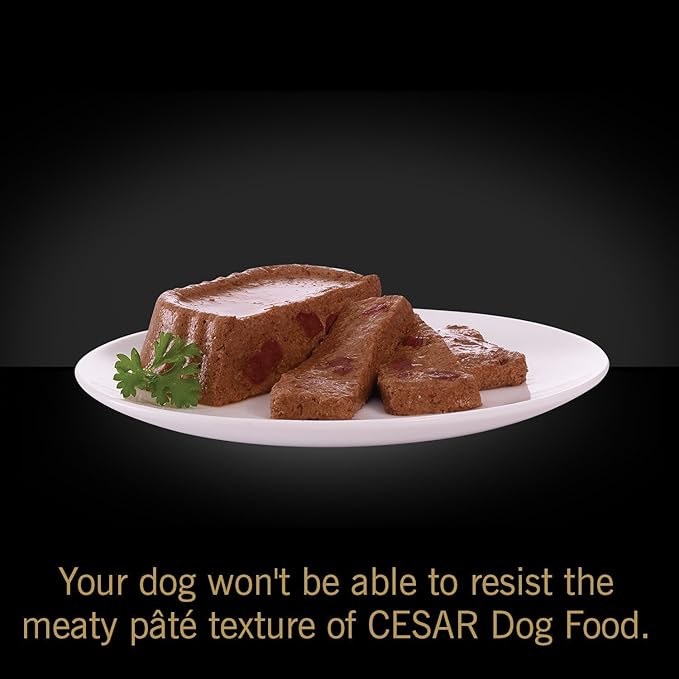 Cesar Classic Loaf in Sauce Adult Wet Dog Food with Duck, Oven Roasted Chicken, Grilled Chicken, and Turkey Recipes, 3.5 oz. Easy Peel Trays, Variety Pack (24 Count, Pack of 1)