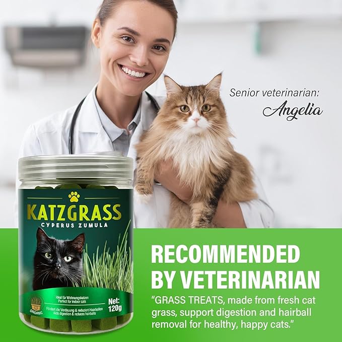 Cat Grass Treats for Indoor Cats, Digestive Health Support with Wheat Grass, Hairball Control Chews, Natural Grain-Free Snack for Kittens