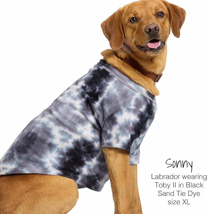 Pet Passion Toby II - The Perfect Tee, 3 Pack Short Sleeve Pet T-Shirt 100% Organic Cotton Tees Clothes for Small, Medium, Large Dogs, Black Sand Tie Dye, XX-Large (70-110 lbs)