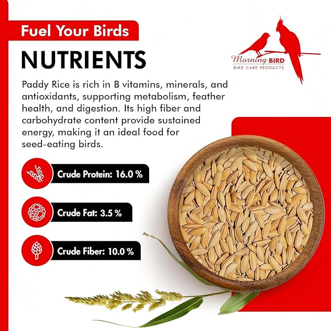 Morning Bird Paddy Rice 1.5 lbs Bird Seed for Health & Nutritious Bird Food – High Fiber with Natural Vitamins and Minerals - Supports Feathers & Immune Defense – Ideal for All Seed Eating Birds
