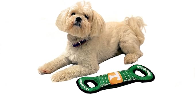 NCAA Football Field Dog Toy with Squeaker. - Tennessee Volunteers - for Tug, Toss, and Fetch. - Tough& Durable PET Toy