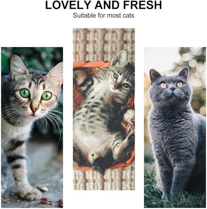 Breathable Cat Mouth Cover Muzzle for Grooming Bathing Nail Trimming and Medicine Feeding Small Size 4.33X3.14X2.75 Inch Pet Safety Face Guard