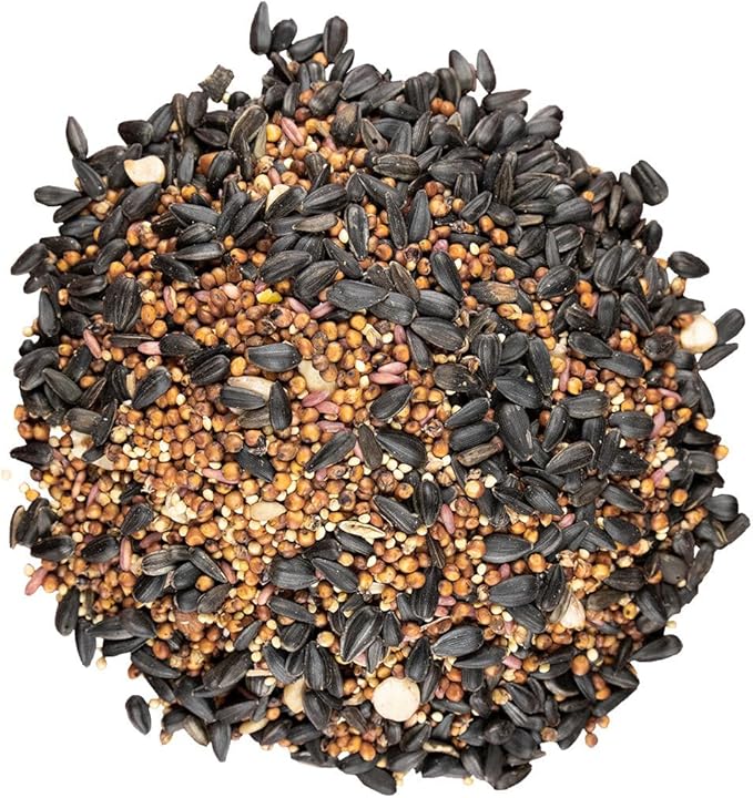 Bird Pro Holistic Bird Seed - Premium Seed for Backyard Feeding (36 Pounds, Cherry Bonanza)