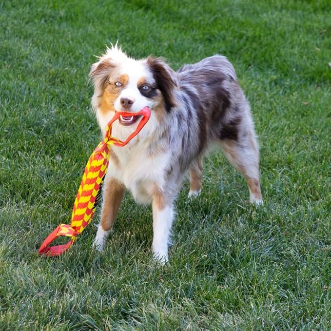 KONG Maxx Tug - Durable Interactive Tug Toy with 2 Handles - Large