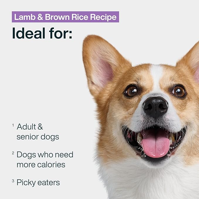 JustFoodForDogs Pantry Fresh Wet Dog Food, Complete Meal or Dog Food Topper, Lamb & Brown Rice Human Grade Dog Food Recipe - 12.5 oz (Pack of 12)