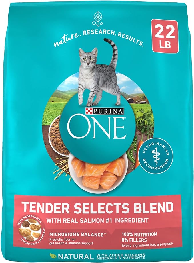 Purina ONE Natural Dry Cat Food, Tender Selects Blend with Real Salmon - 22 lb. Bag
