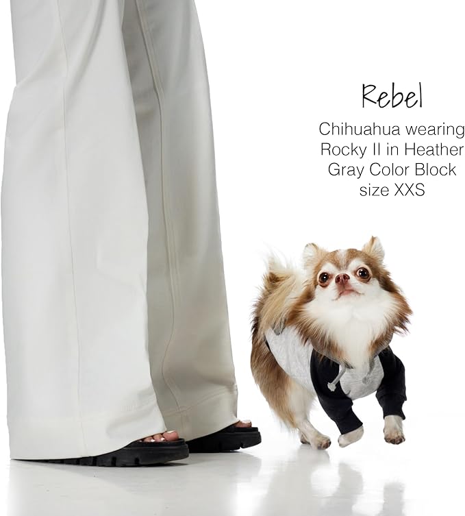 Pet Passion Rocky II - The Extra Comfy Hoodie, Organic Cotton and Recycled Poly Dog Hoodie Pet Coat Sweater for Small, Medium, Large Dogs, Heather Gray Color Block, X-Small