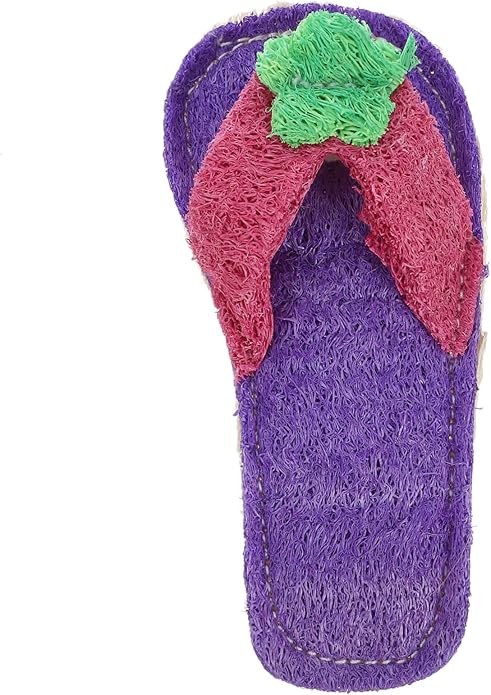Garneck Loofah Slipper Shaped Pet Chew Toy for Dogs and Cats Molar Toy for Teething Random Oral Care Tool for Healthy Teeth and Gums Fun Pet Plaything