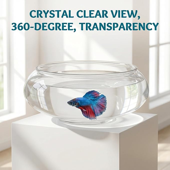 Toddmomy Transparent Desktop Aquarium Tank 9.52X9.52X3.93In Clear Betta Fish Bowl for Plants and Aquatic Pets Home Office Decorative Landscape Fish Tank