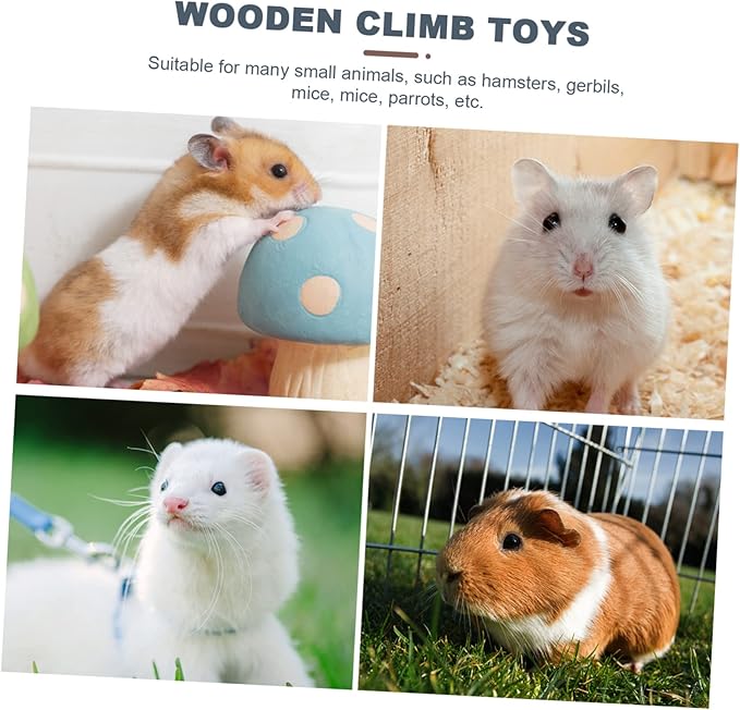 Abaodam 2pcs Hamster Coconut Shell Nest Hideout Toys Cozy Bed for Hamsters Bird Cage Accessory