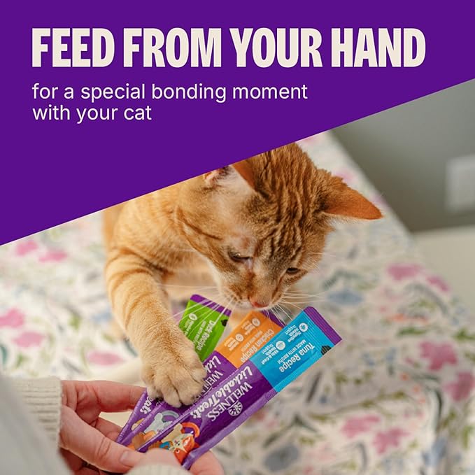 Wellness Lickable Soft Puree Cat Treats, All Lifestages, Kitten to Senior, Natural, Grain Free, Chicken Flavor, 0.4 oz, Pack of 6 Tubes