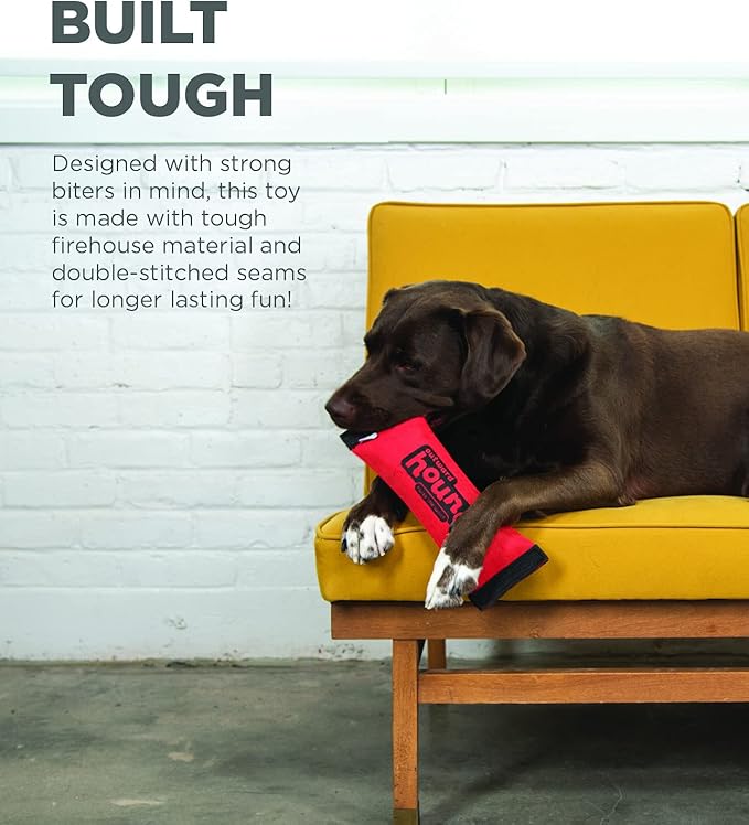 Outward Hound Firehose Fetch Dog Toy, Large