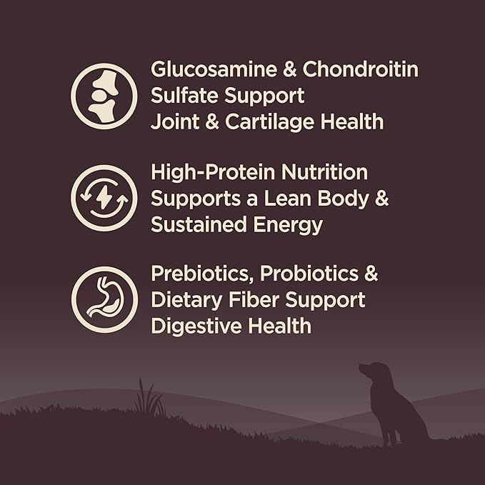 Wellness CORE Age Advantage Senior Dry Dog Food, Grain Free Kibble, Natural, High Protein, Turkey and Chicken Recipe, 4 lb Bag