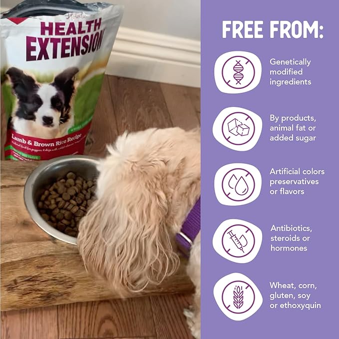 Health Extension Lamb & Brown Rice Dry Dog Food, Protein Packed Formula with Probiotics & Superfoods for Digestion & Coat Health (15 lb)