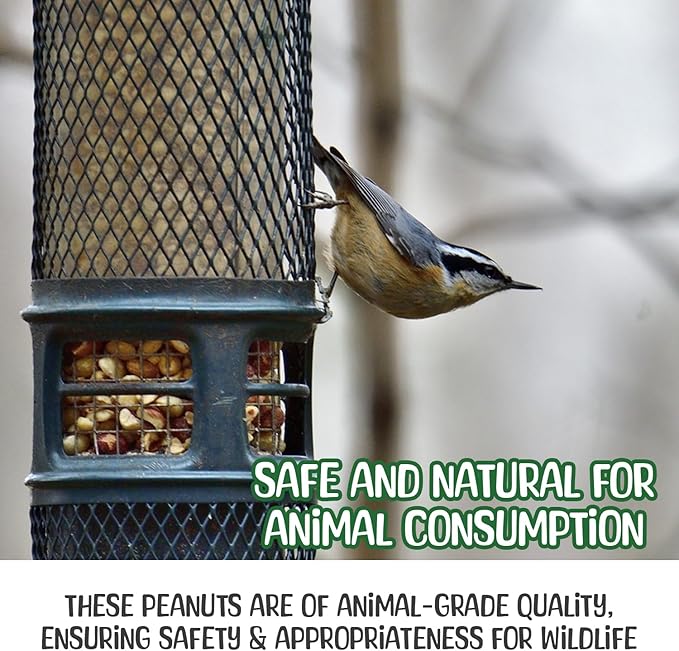 Snaky Mango Raw Peanuts in Shell - 1 Pounds – All-Natural Food for Squirrels, Deer, Birds, and Other Wildlife Animals – Grown in the USA for Healthy Nutrition