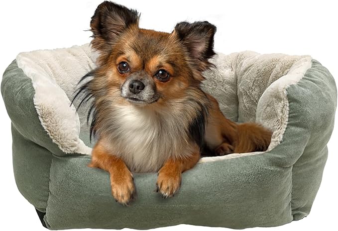 SPOT Sleep Zone Small Pet Bed - High Wall, Reversible Cushion Bed for Indoor Cats & Small Dogs, Durable Faux Suede, Machine Washable for Pets Under 10lbs and 15 inches Long - 18x16in, Sage Green