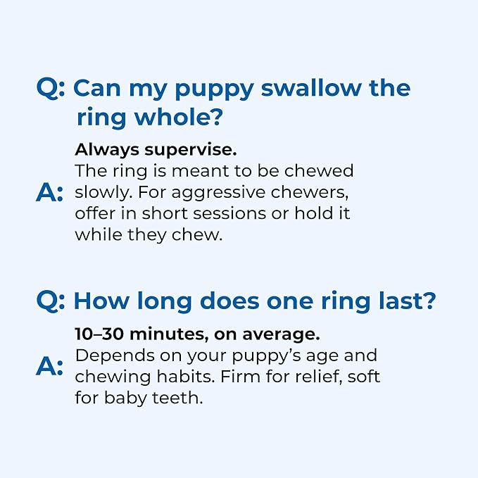 N-Bone Puppy Teething Rings Taste of Texas Queso Con Carne Flavor 3 Count (Pack of 2)