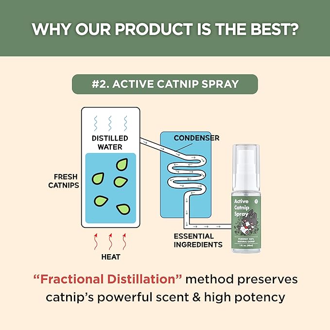 JAYU PET Active Catnip Spray (1 fl.oz) Active Catnip Powder (0.5oz) - Potent Fresh Leaves or Liquid for Entertaining Cats, Reducing Stress & Anxiety, Reviving Old Toys (Spray+Catnip)