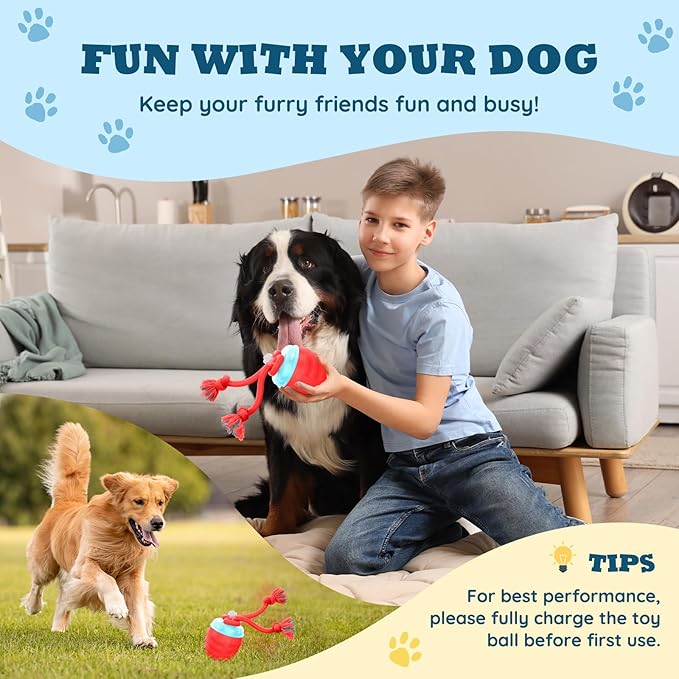 Interactive Dog Toys Ball - New Upgraded Chase Buddy Dog Toy for Small Dogs, Automatic Moving and Rolling Dogs Ball for Boredom, USB Rechargeable(Red)