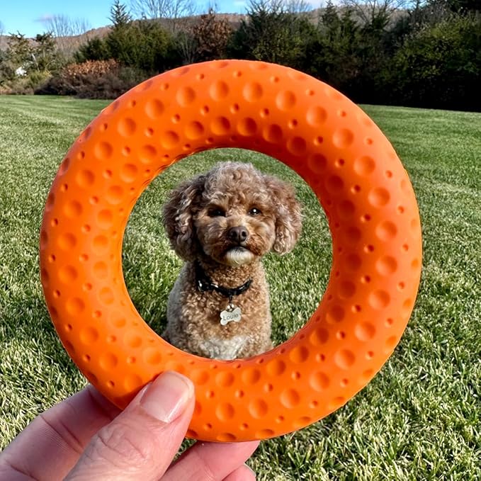 Tall Tails G.O.A.T. Greatest of All Toys Sport Fetch Ring Toy for Dogs, Medium