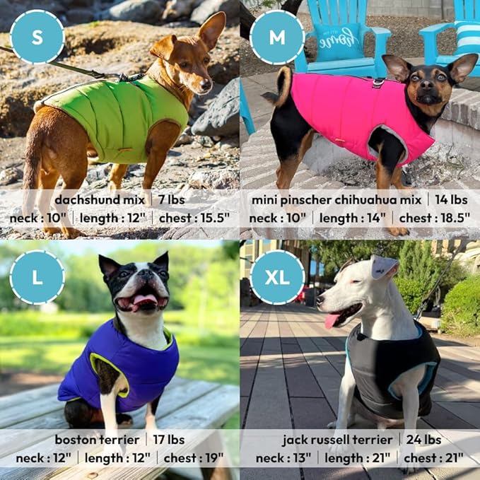 Gooby Padded Vest Dog Jacket - Solid Turquoise, Large - Warm Zip Up Vest Fleece Jacket with Dual D Ring Leash Water Resistant for Small to Medium Dogs