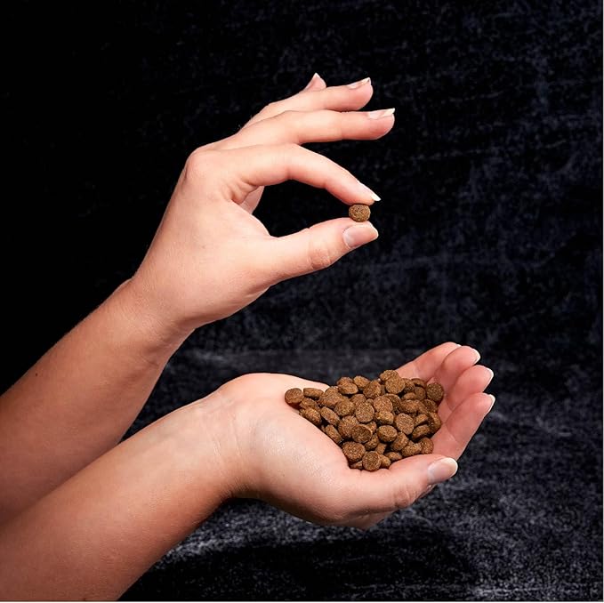 CRAVE Grain Free with Protein from Chicken Dry Adult Dog Food, 12 Pound Bag