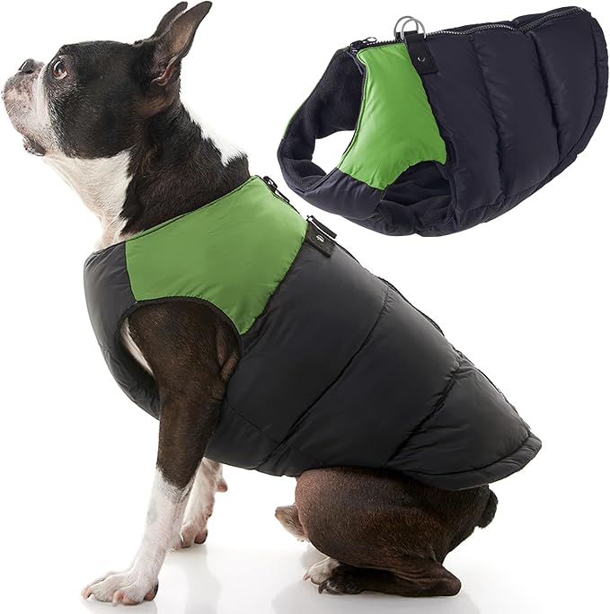 Gooby Padded Vest Dog Jacket - Green, X-Small - Warm Zip Up Vest Fleece Jacket with Dual D Ring Leash Water Resistant for Small to Medium Dogs