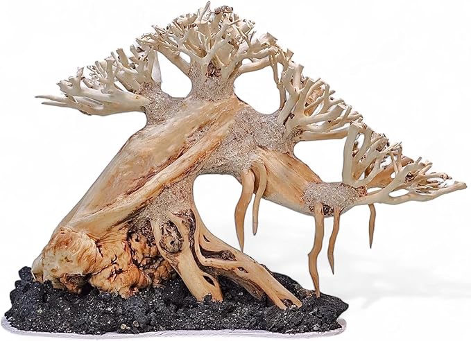 Azil Aquascape Bonsai Driftwood Tree 10” – Premium Natural Aquarium Decor for Fish Tanks, Freshwater Aquariums, Hardscape & Planted Tanks