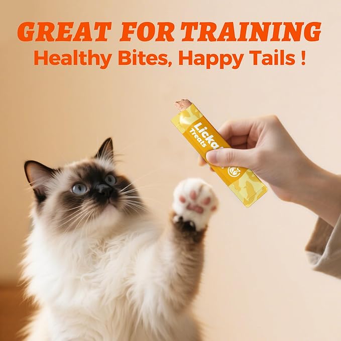 Wellix Lickable Cat Treat for Indoor Cats - Salmon Oil & Chicken Flavor Kitten Snacks for Training - Squeezable Cat Treats for Healthy Skin & Coat - 24 Tube Treats for Cats
