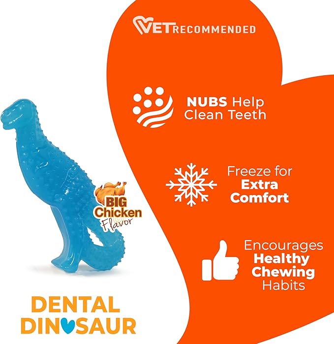 Nylabone Dental Dinosaur Puppy Power Chew Toy, Soothing Puppy Teething Bone, Enrichment Toy for Puppies, Chicken Flavor, Small Dogs - Up to 25 lbs., 1 Count