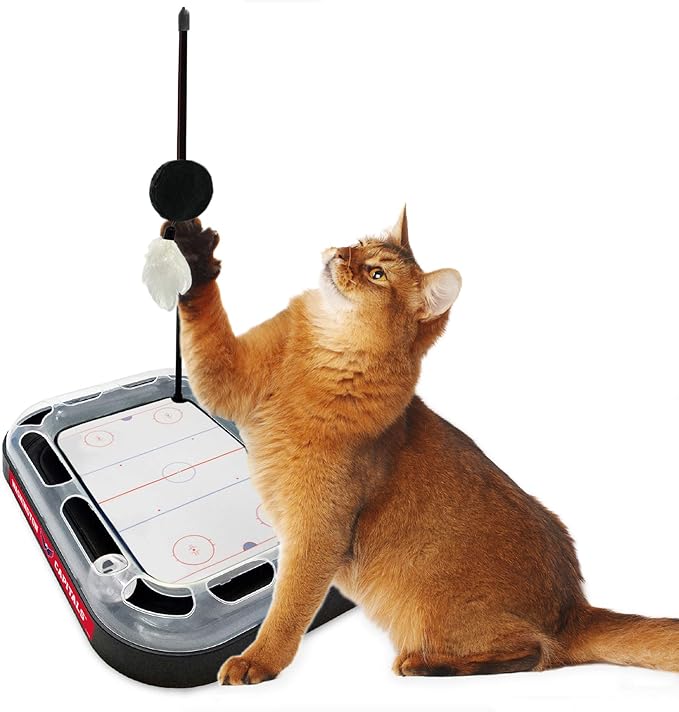 Pets First 5-in-1 NHL Washington Capitals Cat Scratcher Toy with Interactive Cat Ball Bell in Tracks