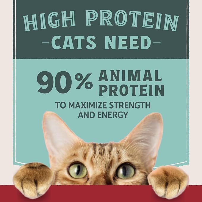 Natural Balance Ultra Protein Wet Cat Food Pate, Real Chicken Recipe with Protein-Rich Organs for Cats, Pate Cat Food with High Protein - 2.8 oz. (Pack of 24)