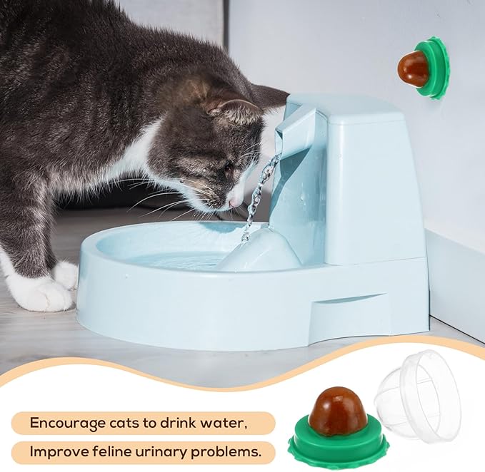 POPETPOP Cat Candy Snacks 5-Pack Lickable Catnip Treat Balls for Cats - Indoor Wall-Mounted Catnip Lollipops Promoting Hydration Urinary & Oral Health - Random Flavors