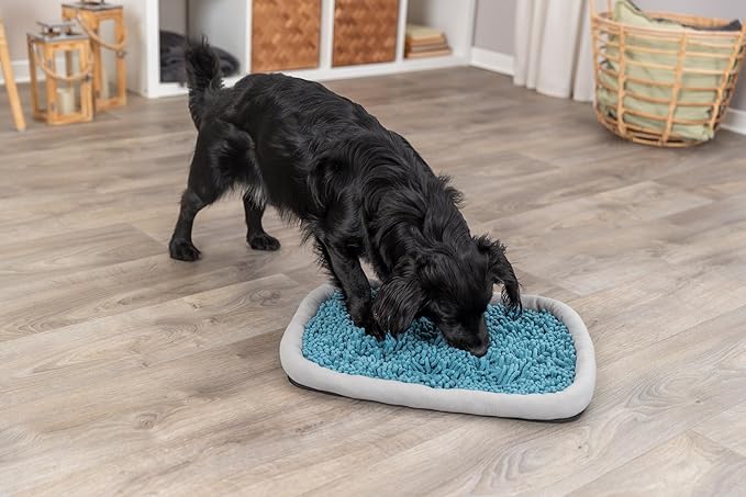 TRIXIE Snuffle & Seek Plate, Snuffle Mat for Dogs, Level 1 Interactive Dog Toys, Enrichment Puzzle, Slow Feeder