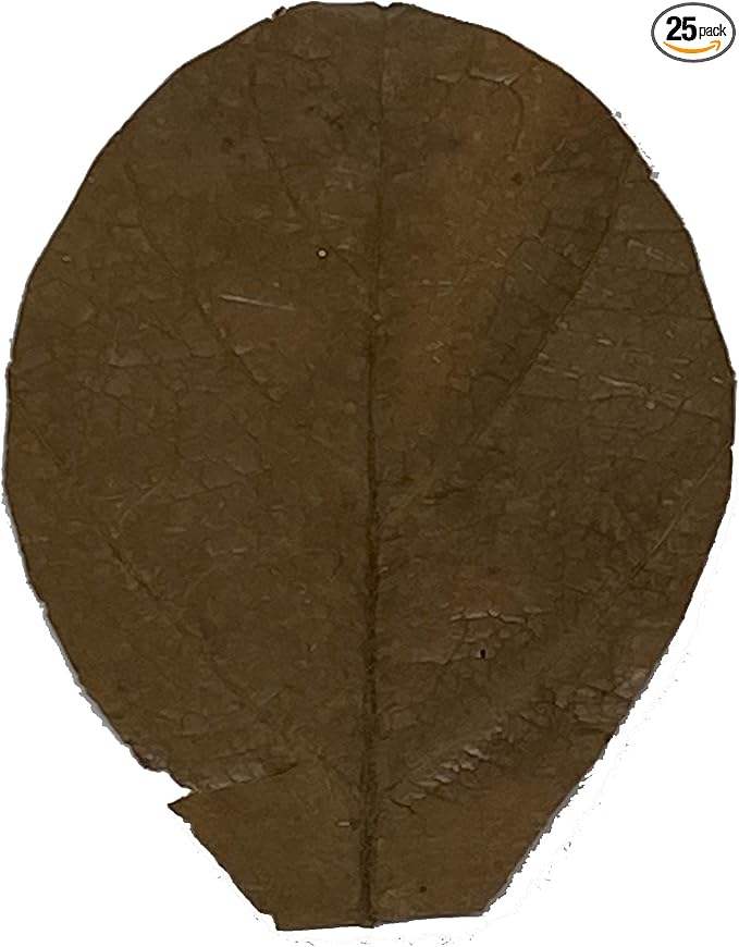 Awesome Aquatic Shrimp & Betta Leaves Catappa/Indian Almond, Dadap, Mulberry Natural Habitat Tannin Producing Improves Immunity Easy to USE (Catappa Mini 2 in 25 Pk)