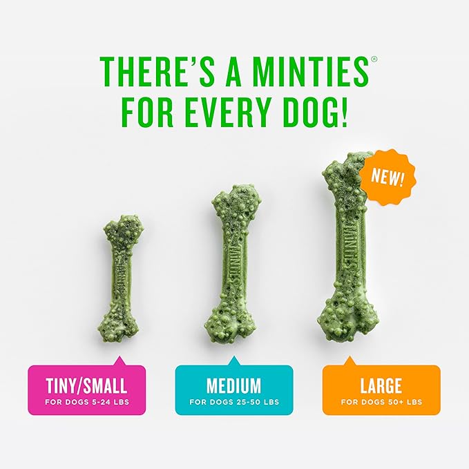 Minties Dog Dental Bone Treats, Tiny/Small Dental Dog Treats, 5-25 lbs, Clean Teeth, Fight Bad Breath, Removes Plaque and Tartar, 16 Count