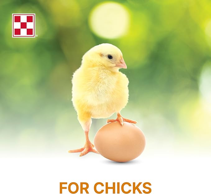 Purina Start and Grow | Non-Medicated Chick Feed Crumbles | Nutritionally Complete - 5 Pound (5 lb) Bag
