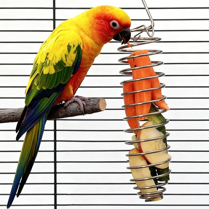 2 Pcs Rat Enrichment Toys Stainless Steel Bird Food Holder Rat Parrot Foraging Toy Hanging Rodent Toy Bird Cage Foods Holders Slow Feeder Cage Accessories for Fruit Vegetable Holder Birds Food