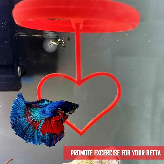 Floating Heart Betta Training Ring, Heart Active Betta Training Ring, Floating Feeder, Enrichment Toys for Aquarium Decor, Pink, 3.8in x 3.7in (Red, Single)