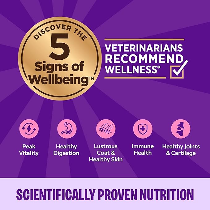 Wellness Complete Health Purrfect Duos Cuts in Gravy Adult Wet Cat Food, Natural, Protein Rich, Grain Free, Salmon and Shrimp Dinner Recipe, 2.64 oz, Pack of 12 Split Cups