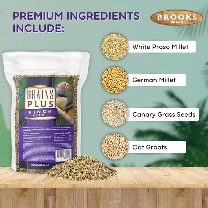 Brooks Brand Grains Plus Finch Blend Bird Food, Nyjer Seeds, Finches Bird Seed Mix, Gold Finch Niger Seeds for Birds, Finches Food for Indoor Birds (4 lbs)