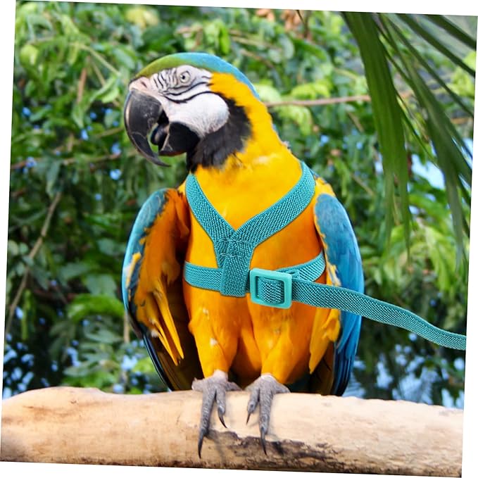 balacoo 2pcs Portable Parrot Wear-Resistant Bird Leash for Outdoor Flying and Training for Parrots Parakeets Chickens Bird Accessory for Safe Adventures