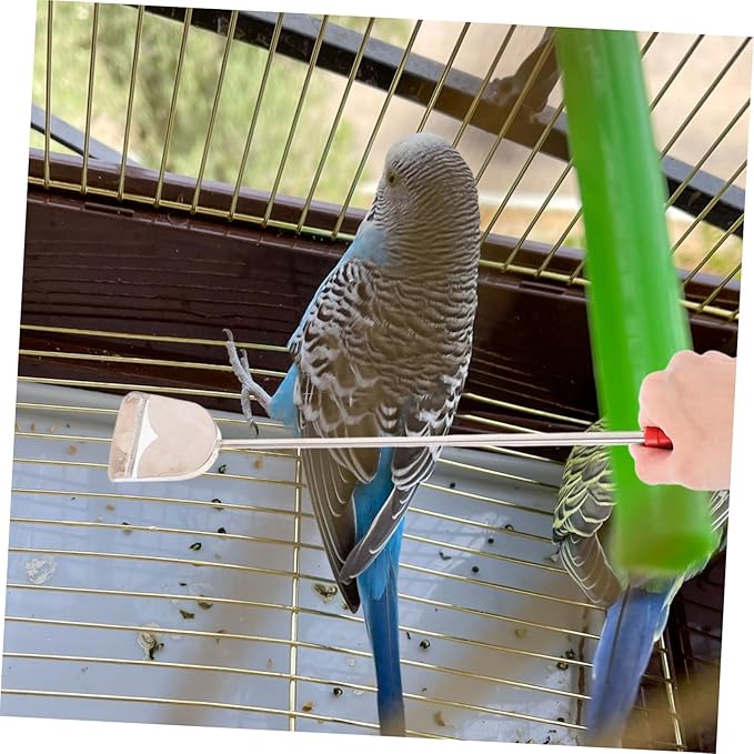 Yardwe 2pcs Essential Bird Cage Cleaning Kit Parrot Cage Accessory Small Animal Brush Cleaning Brush for Pet Bird Reptile Chicken Coop