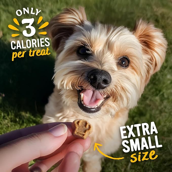 Blue Dog Bakery Perfect Trainers, Mini Dog Training Treats, Soft & Chewy, Made w/USA Beef, Healthy Treats, All Natural, Extra Small, 6 oz (Pack of 8)