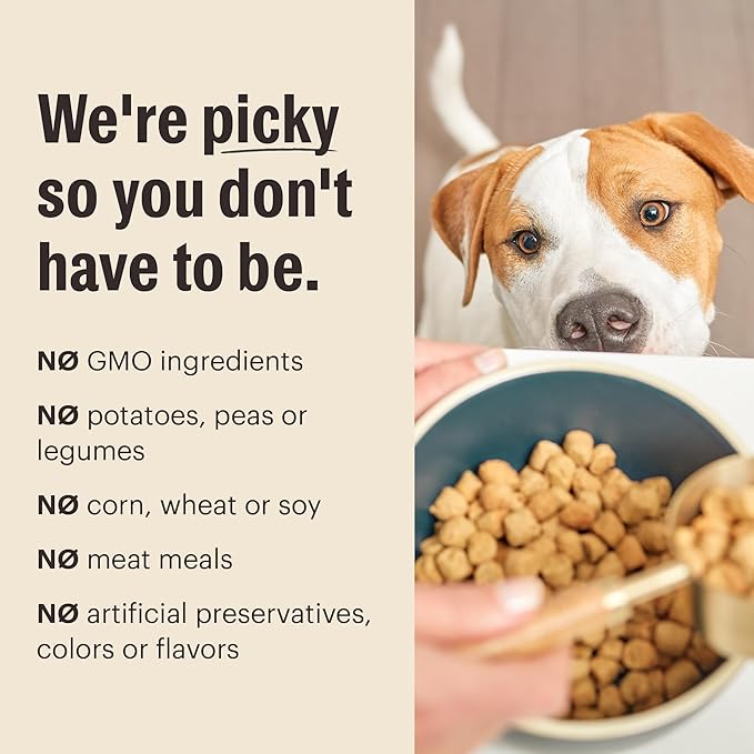 The Honest Kitchen Whole Food Clusters Small Breed Whole Grain Chicken Dry Dog Food, 4 lb Bag